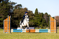 BRC Afternoon 45CM Showjumping
