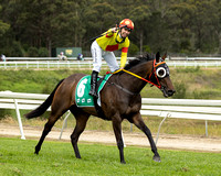 She's All In Nowra Cup